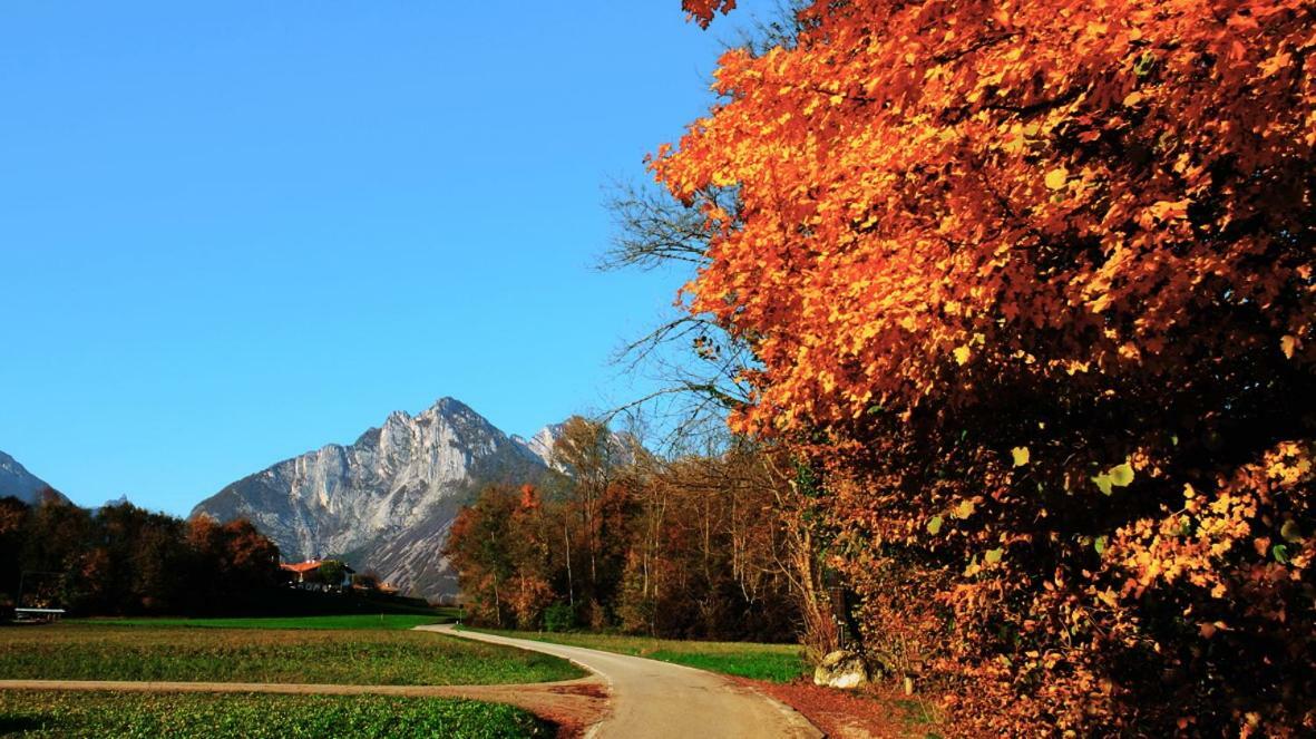 B&B Col Del Vin Belluno Exterior photo